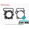 CF Moto 250 NK - 250SR Silindir Alt-Üst Conta Seti